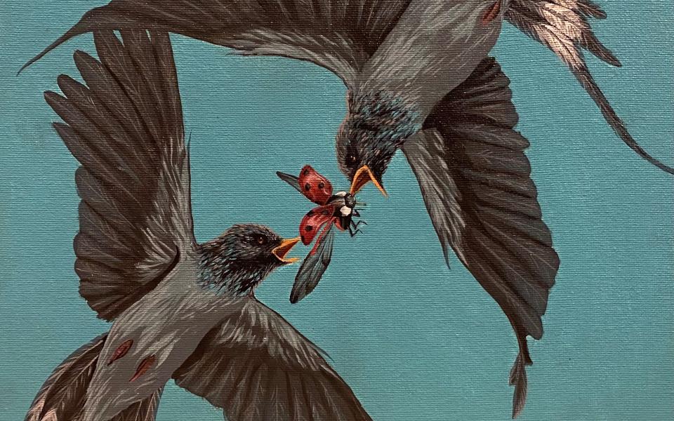 Painting of two birds hunting a ladybug